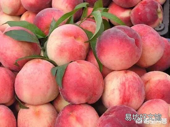 今年桃子上市价格比去年贵多了，为啥果农却说不赚钱呢？为啥呢？