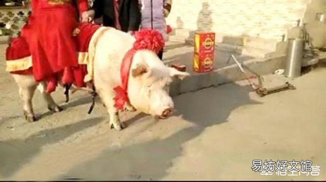 在农村,如果强制结婚彩礼不得超过5万,会发生什么现象?