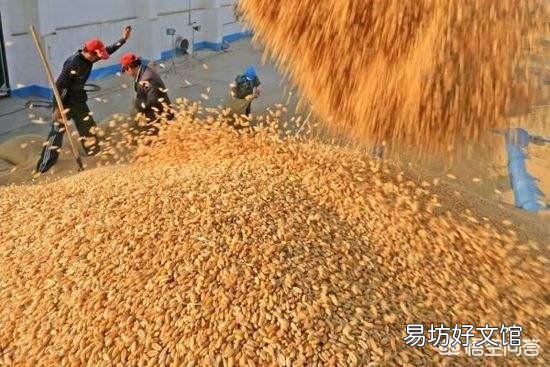 农民希望粮价上涨,即便粮价上涨到2元一斤,农村能有多大变化?