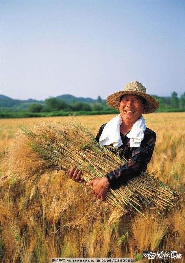 农民希望粮价上涨,即便粮价上涨到2元一斤,农村能有多大变化?
