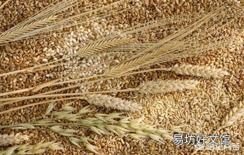农民希望粮价上涨,即便粮价上涨到2元一斤,农村能有多大变化?