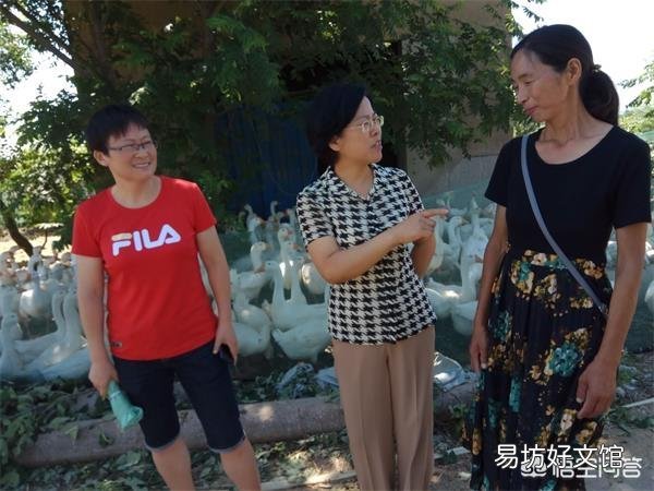 农村兴起“离婚潮”,为什么苦日子过去了两个人却过不到一起了?