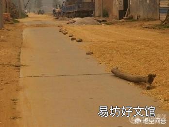 洒水车向农户晾晒的小麦浇水,你怎么看?为何不能体谅一下呢?