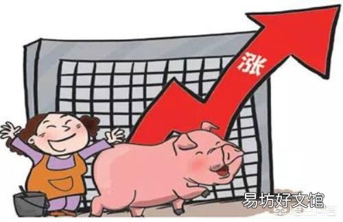 个人感觉2019年下半年9-10月猪价还会下跌?有不同意见的吗?