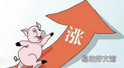 个人感觉2019年下半年9-10月猪价还会下跌?有不同意见的吗?