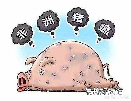 砚山发生非洲猪瘟疫情,发病49头死亡48头;该地禁止所有生猪及其产品调出封锁区,禁止生猪运入封锁区。你怎么看?