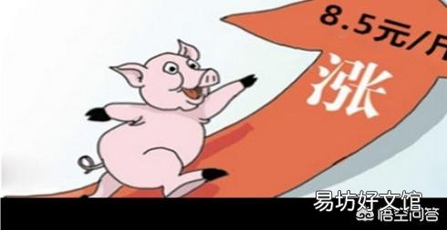 2019年下半年猪价走势将如何?
