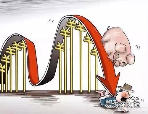 甘肃地区这几天生猪价格为何回落明显?17元/公斤会不会跌破?