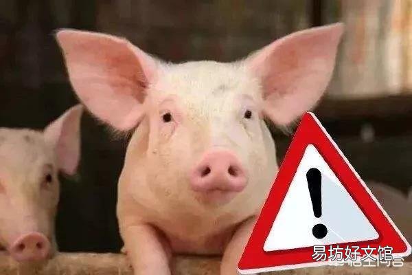 甘肃地区这几天生猪价格为何回落明显?17元/公斤会不会跌破?