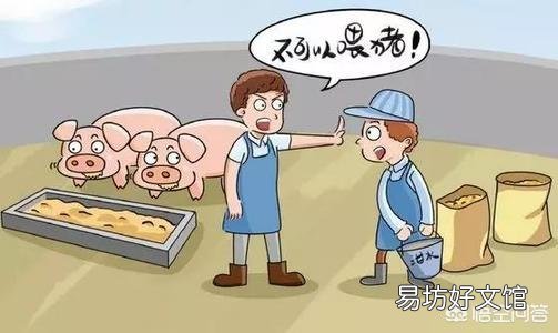 近段时间,全国各地都发生非洲猪瘟,请问会对全国的饲料行业造成影响吗?