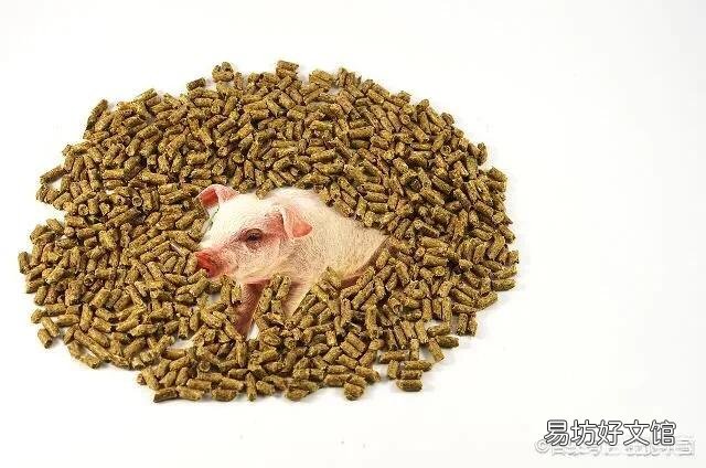 近段时间,全国各地都发生非洲猪瘟,请问会对全国的饲料行业造成影响吗?