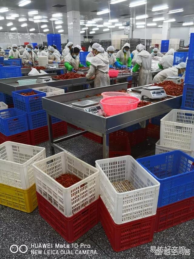 面对当前高风险和高收益,国内生猪企业是如何寻求平衡的?