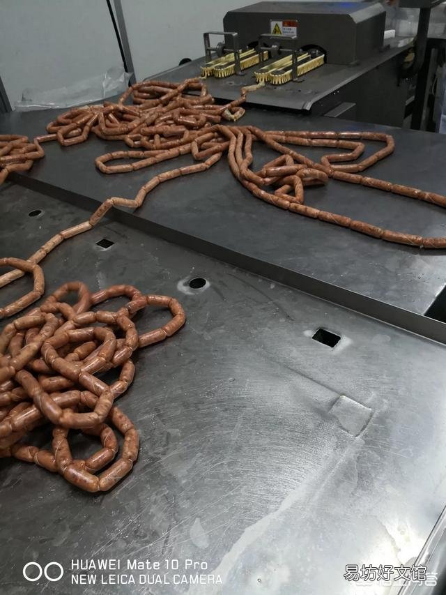 面对当前高风险和高收益,国内生猪企业是如何寻求平衡的?