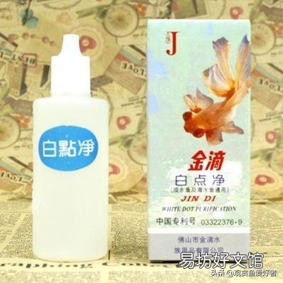我家血鹦鹉得了白点病怎么治?