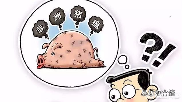 “非洲猪瘟”,全国沦陷,约七成的散户会说:“再见了,我的农场”,产业链是否依然?
