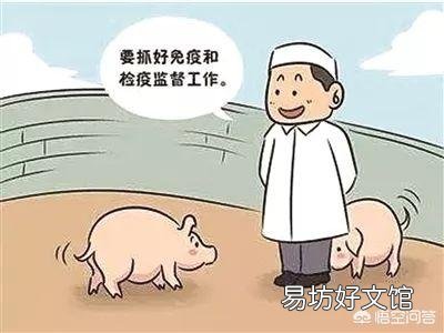 “非洲猪瘟”,全国沦陷,约七成的散户会说:“再见了,我的农场”,产业链是否依然?