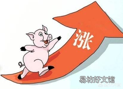 猪价偏弱调整态势,未来猪价短期猪价涨跌两难,后期如何演绎?