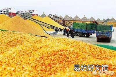 进入4月份以来,玉米价格出现了上涨的行情,四月份玉米价格能达到1元/斤吗?