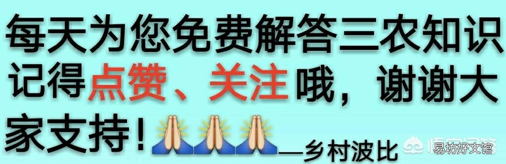 2019年猪价有望突破15元每斤吗?这种情况有可能出现吗?