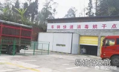 哪些消毒水可以灭杀非洲猪瘟病毒?