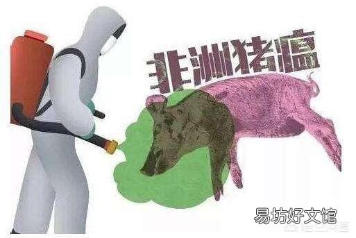 哪些消毒水可以灭杀非洲猪瘟病毒?