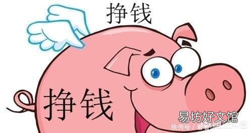 在农村,今年养猪前景怎样?