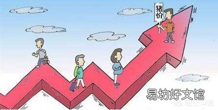 在农村,今年养猪前景怎样?