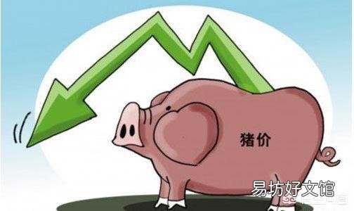 今日猪价下跌,养猪难,明明市场缺猪,为何猪价还下跌?