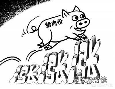 今日猪价下跌,养猪难,明明市场缺猪,为何猪价还下跌?