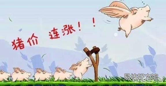 第三轮收储来了,后期猪价走势又将如何?