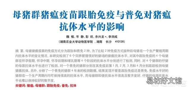 怀孕的母猪能打猪瘟疫苗吗?为什么?