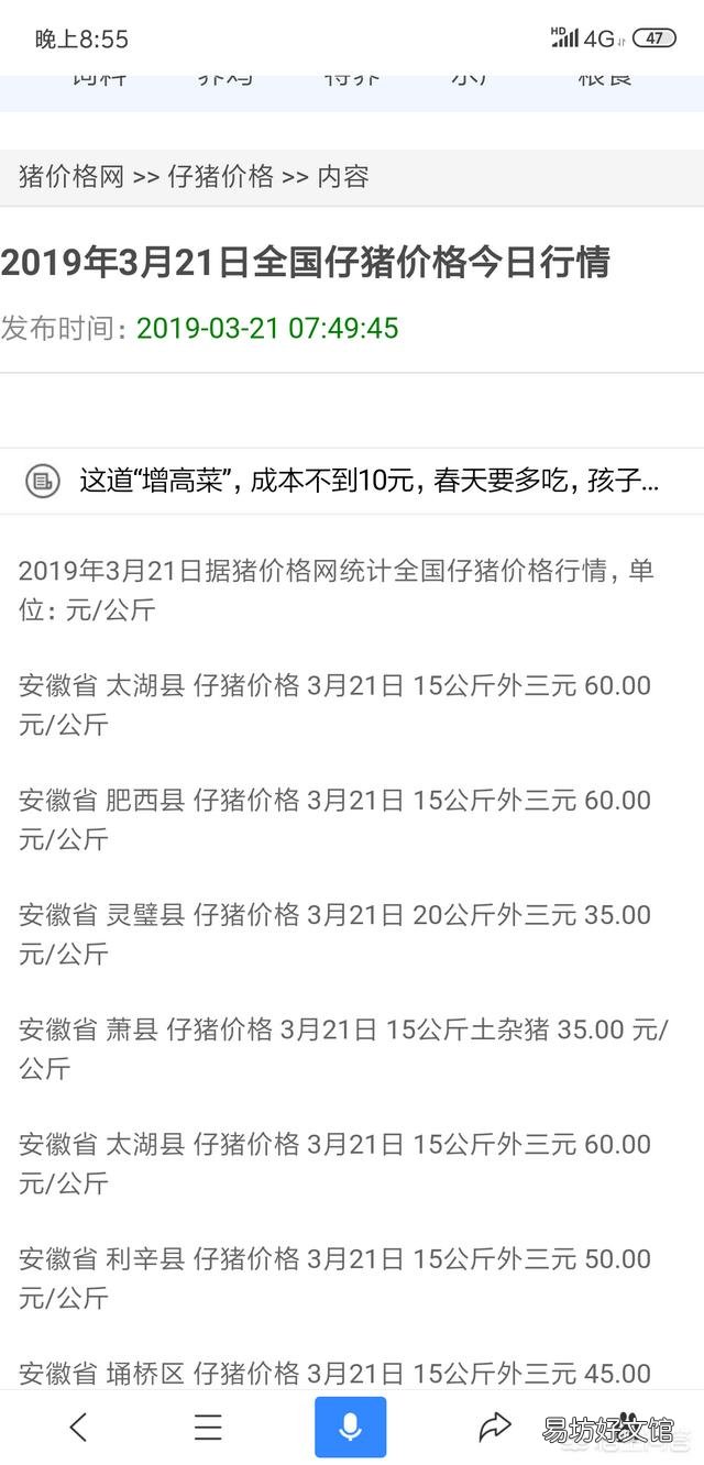 仔猪价格要猛涨?各地仔猪价格形式如何?
