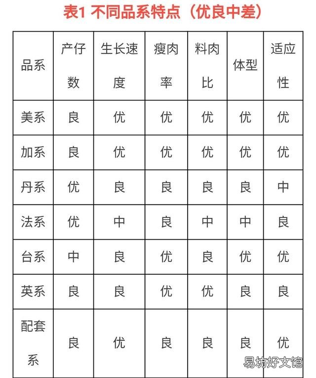皮特兰,长白,约克夏,杜洛克等,选那个品种更适合做后备母猪?