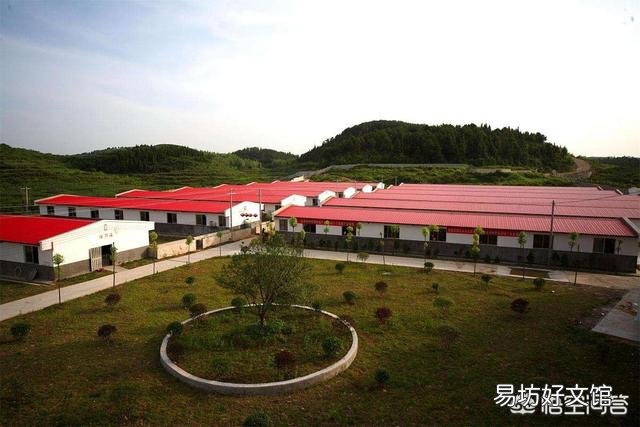 养猪场要离农村住宅多远比较好?