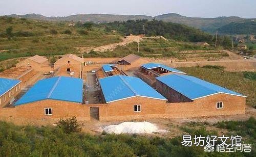 养猪场要离农村住宅多远比较好?