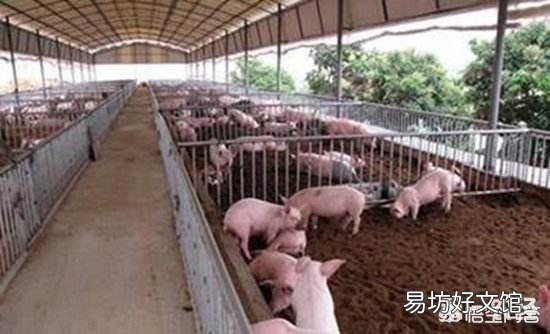 养猪场要离农村住宅多远比较好?