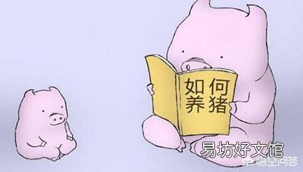 猪价掉头急转,养殖户需要如何应对?