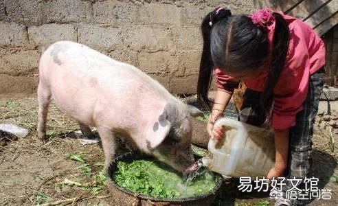 猪价掉头急转,养殖户需要如何应对?