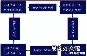 “小节小涨,大节大涨,正月还涨”,专家预测的猪价靠谱吗?