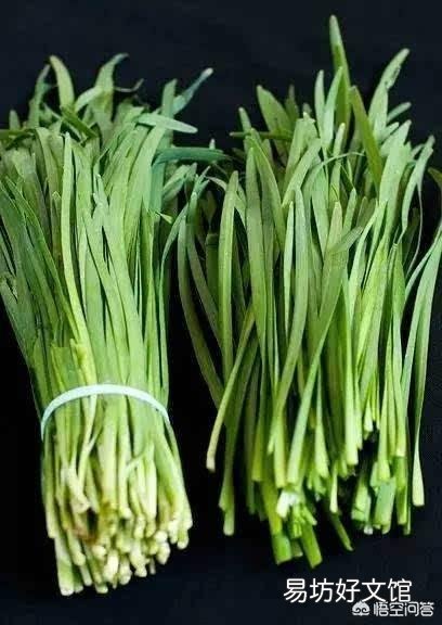 春节，好多人担心韭菜涨价都提前买，那么韭菜怎样储存才能放不坏呢，能放几天？