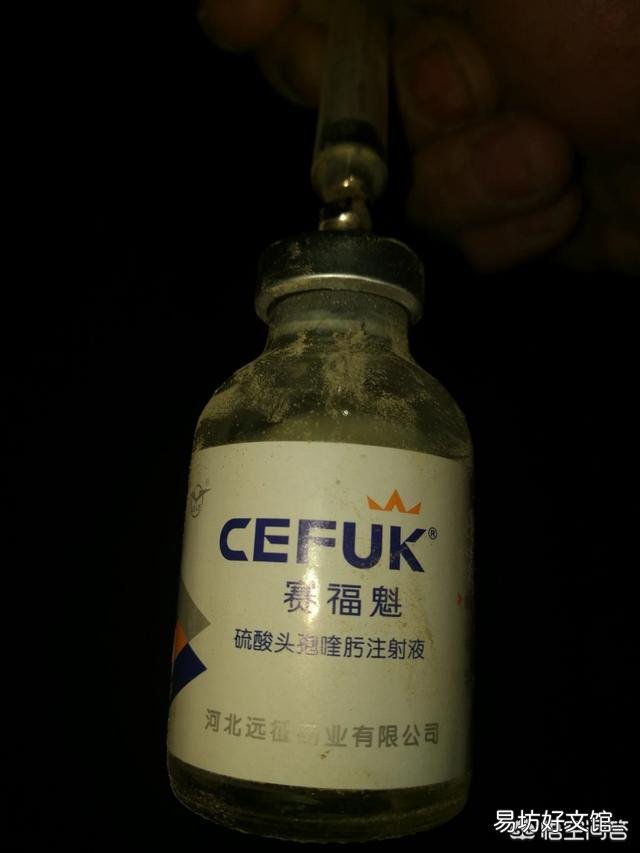 猪场一旦遇到严重的猪副嗜血杆菌病问题,如何进行有效的防控?
