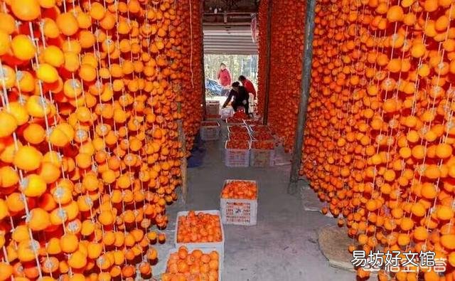 农村种植的柿子是怎么加工成柿饼的?如何操作?步骤有哪些?