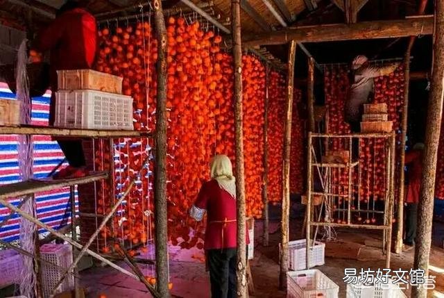 农村种植的柿子是怎么加工成柿饼的?如何操作?步骤有哪些?