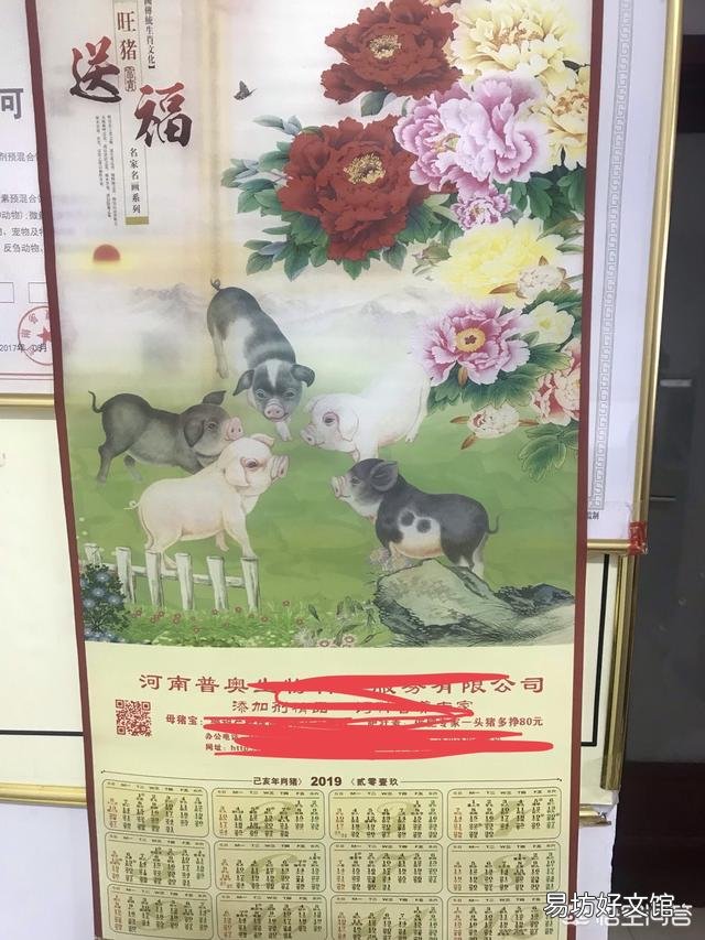 近期的非洲猪瘟过后,养殖户会迎来春天吗?