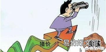 临近过年江苏省泗阳县又出现非洲猪瘟疫情，对猪价会有什么影响呢？