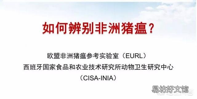有什么办法可以检测出哪一头猪得了非洲猪瘟呢?
