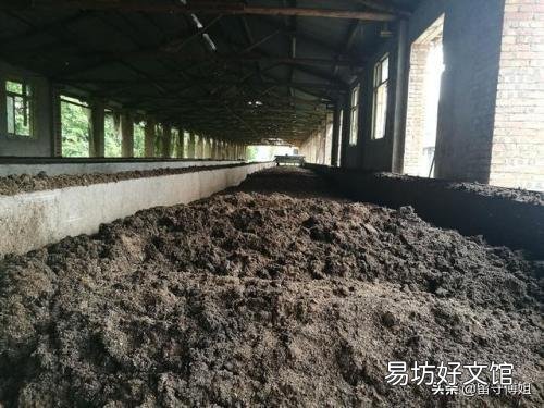 生猪粪未发酵就上地，会造成什么危害？该怎样治理？