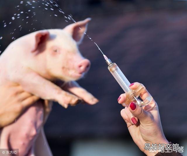 如何预防猪场链球菌病？