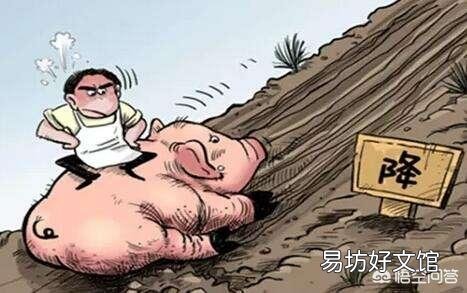 2019年养猪有哪些利好？