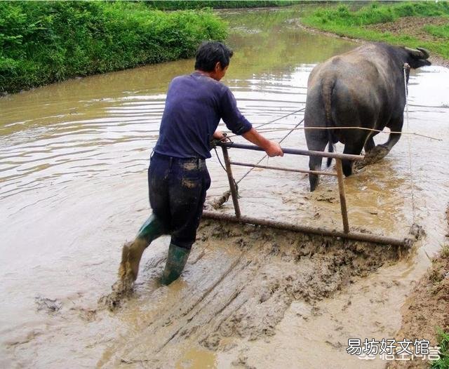 现在人种地为什么都不用农家肥了？